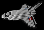 3D rendering of space shuttle.